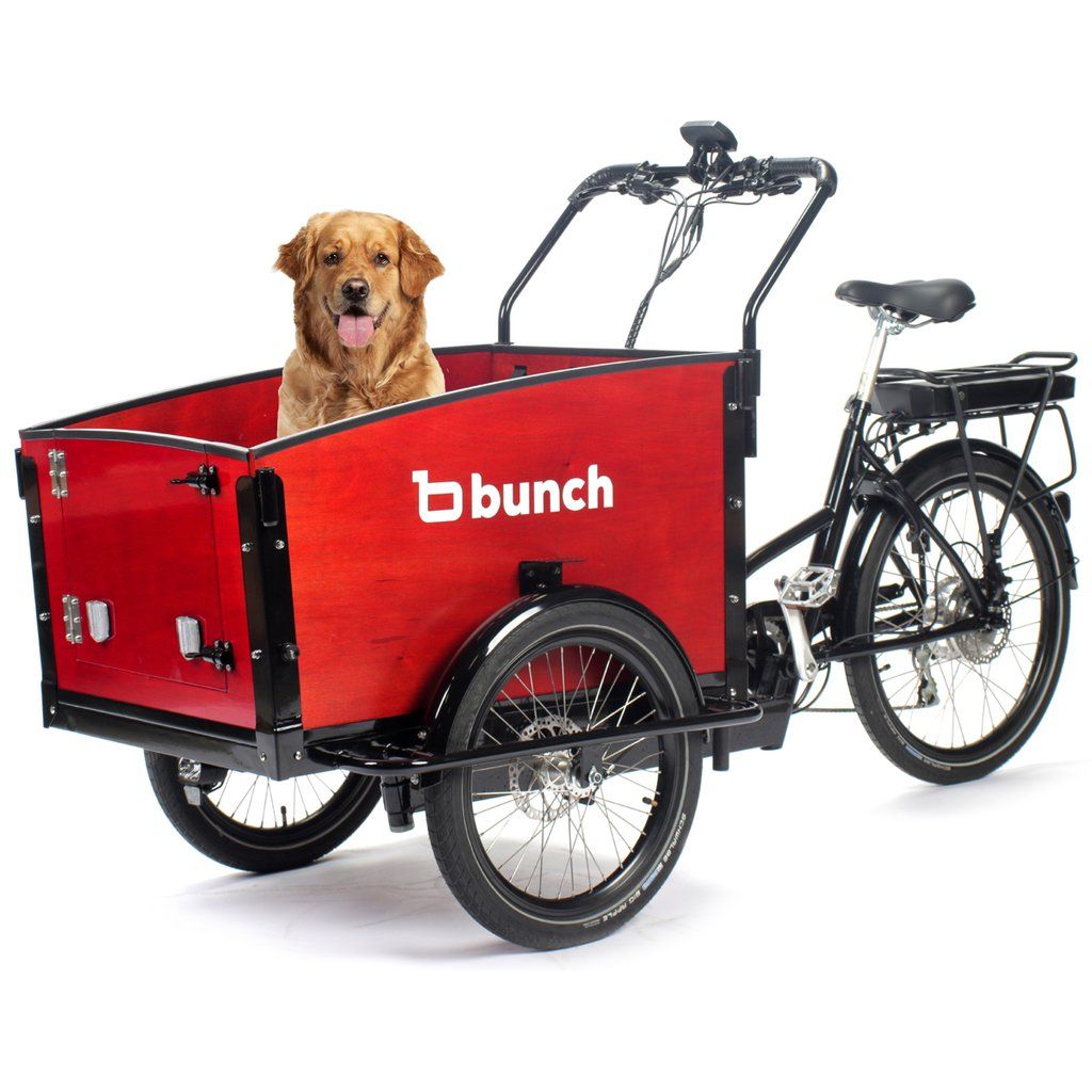 Bunch family cargo outlet bike